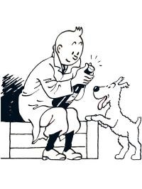 Tintin og Terry