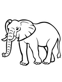 Elefant