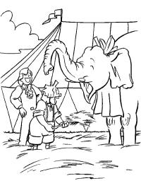 Klovn og akrobat med elefant