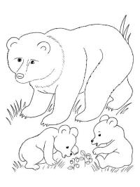 Bjørn med bjørneunger