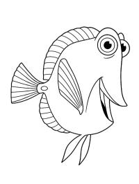 Boble (Oppdrag Nemo)