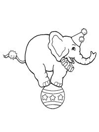 Sirkuselefant på ball