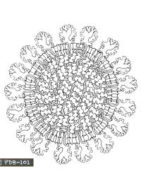 Koronavirus mandala