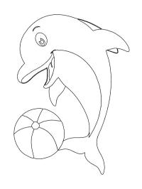 Delfin med ball