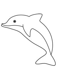 Delfin