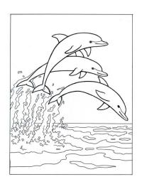 Delfiner hopper i havet