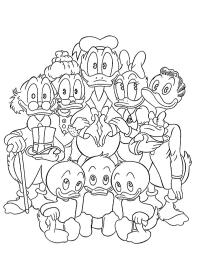 Donald Ducks familie