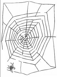 Labyrint spindelvev