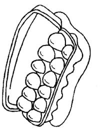 Kartong med egg