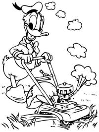 Donald Duck klipper plenen