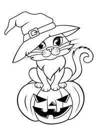 Halloween katt med heksehatt
