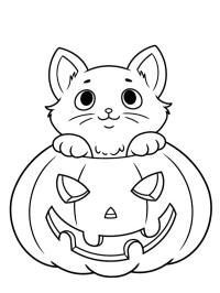 Halloween katt