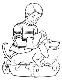 Vaske hunden