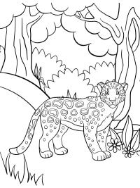 Leopard i skogen