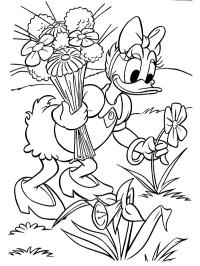 Dolly Duck plukker blomster