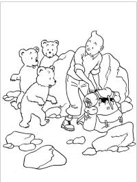 Tintin og bjørnene