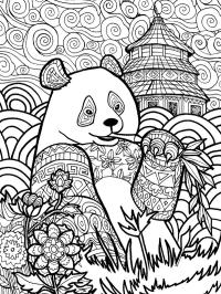 Panda for voksne