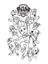 Paw patrol