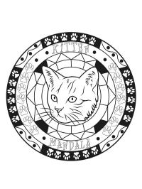 Katt mandala