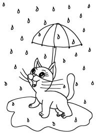 Katt i regnet