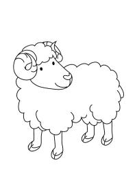Væren