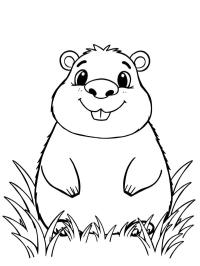 Søt capybara
