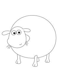Shirley (Sauen Shaun)