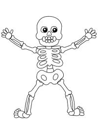 Halloween skjelett (menneske)