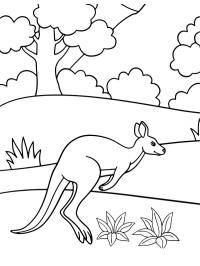 Hoppende kenguru