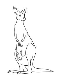 Kenguru som står med unge