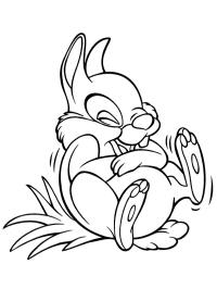 Thumper ler