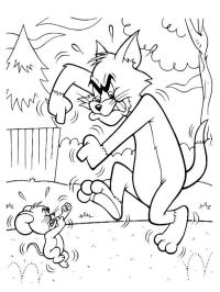 Tom og Jerry slåss
