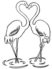 Forelskede flamingoer