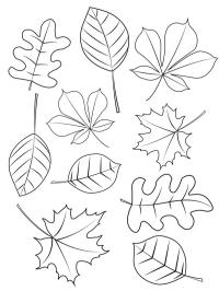 Diverse høstblader