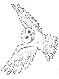 Flygende ugle