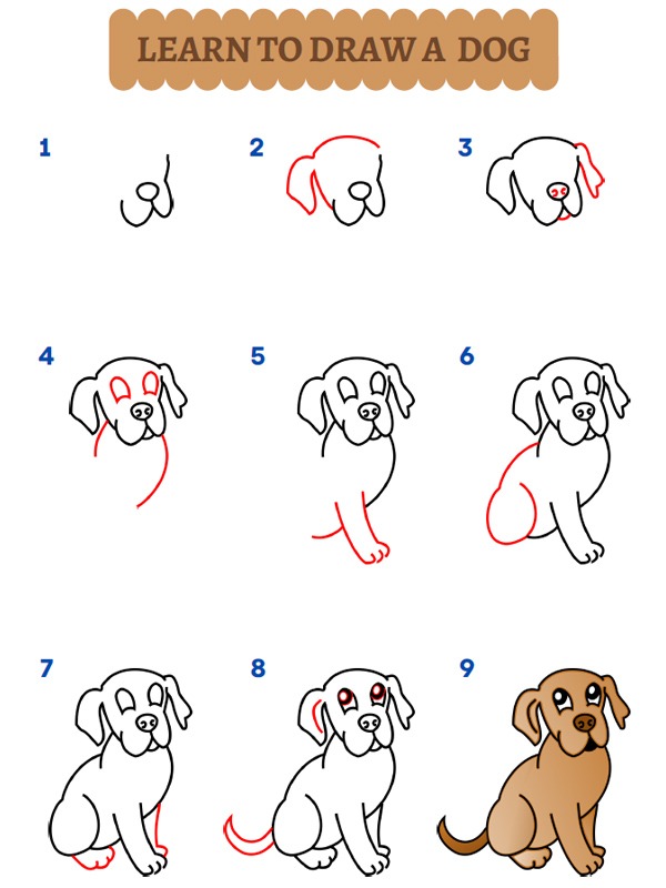 Hvordan tegner du en hund