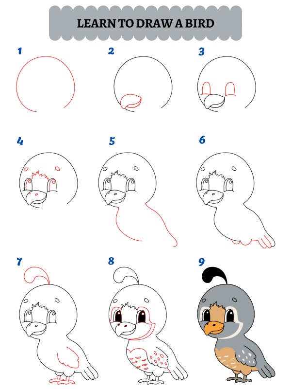 Hvordan tegner du en fugl?
