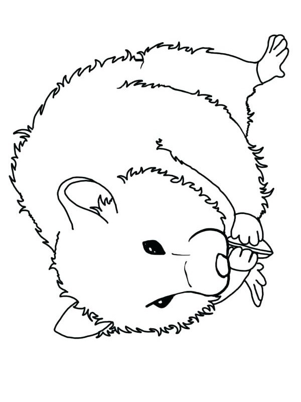 Hamster Fargeleggingsside Hamster Fargeleggingsside