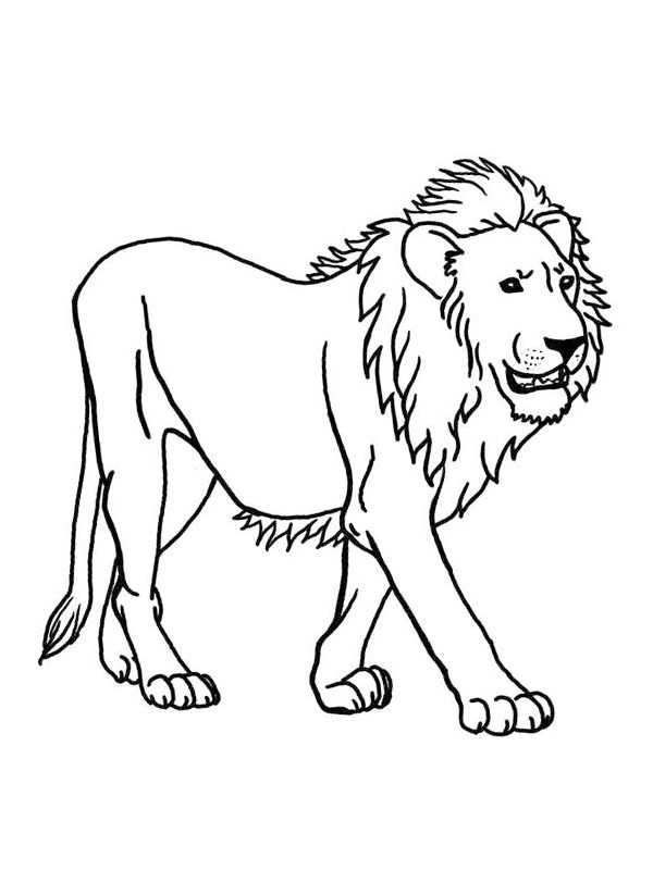 Løve Fargeleggingsside