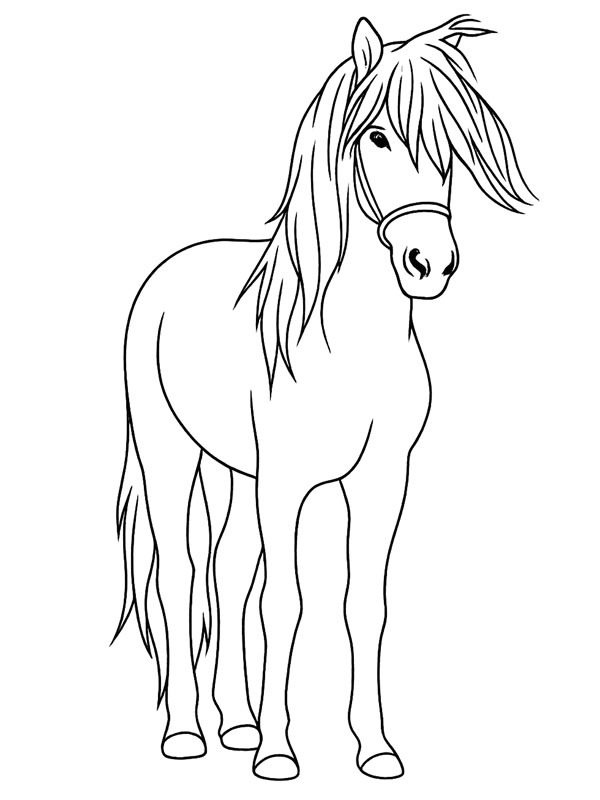 Aegidienberger Hest Fargeleggingsside Aegidienberger Hest Fargeleggingsside