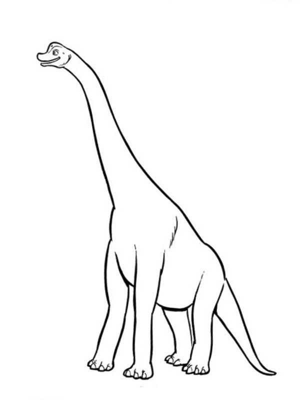 Brachiosaurus Fargeleggingsside Brachiosaurus Fargeleggingsside