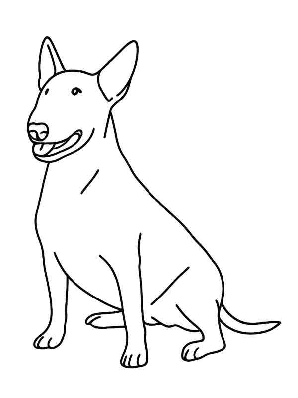 Bull terrier Fargeleggingsside Bull terrier Fargeleggingsside