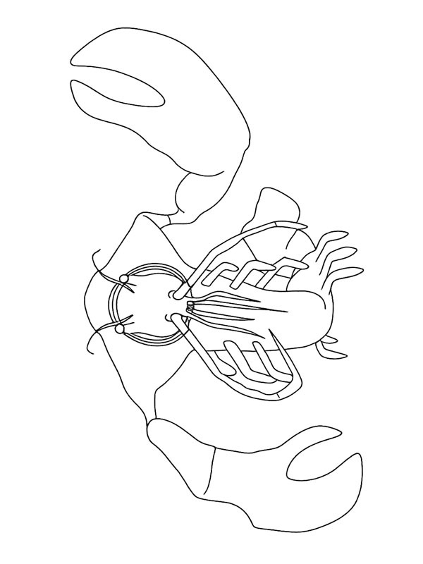 Clawrenzo (Garten of Banban) Fargeleggingsside Clawrenzo (Garten of Banban) Fargeleggingsside