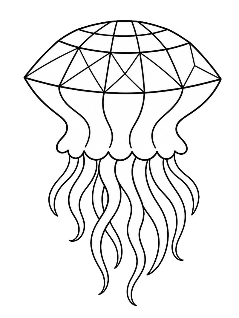 Diamantusa Fargeleggingsside