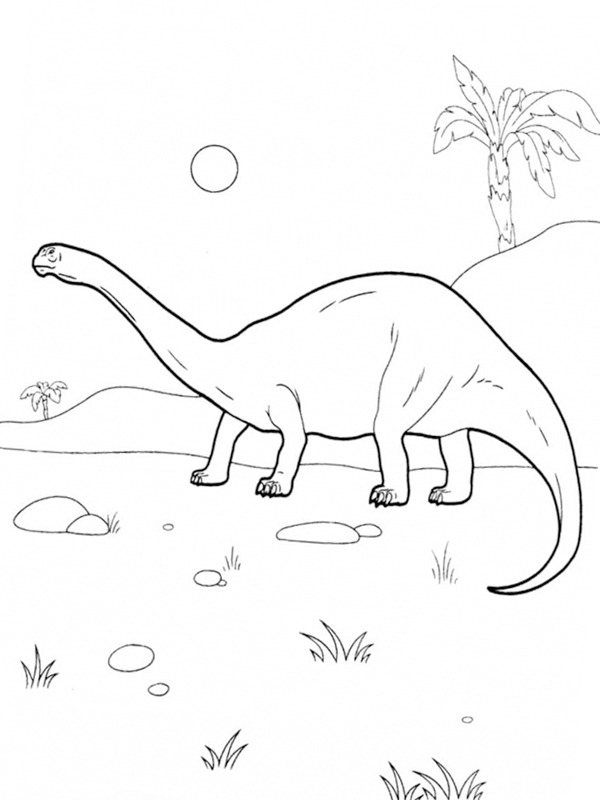 Diplodocus Dinosaur Fargeleggingsside Diplodocus Dinosaur Fargeleggingsside