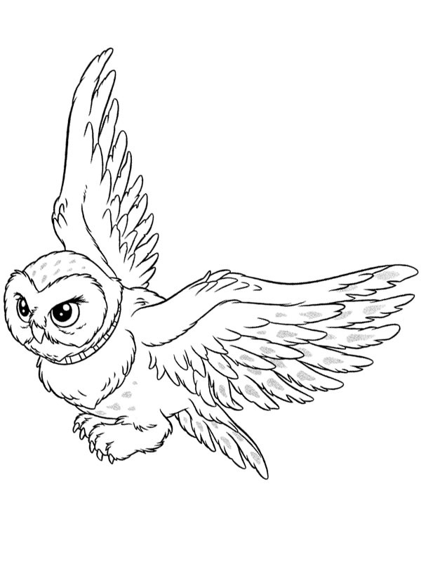 Uglen Hedwig (Harry Potter) Fargeleggingsside Uglen Hedwig (Harry Potter) Fargeleggingsside