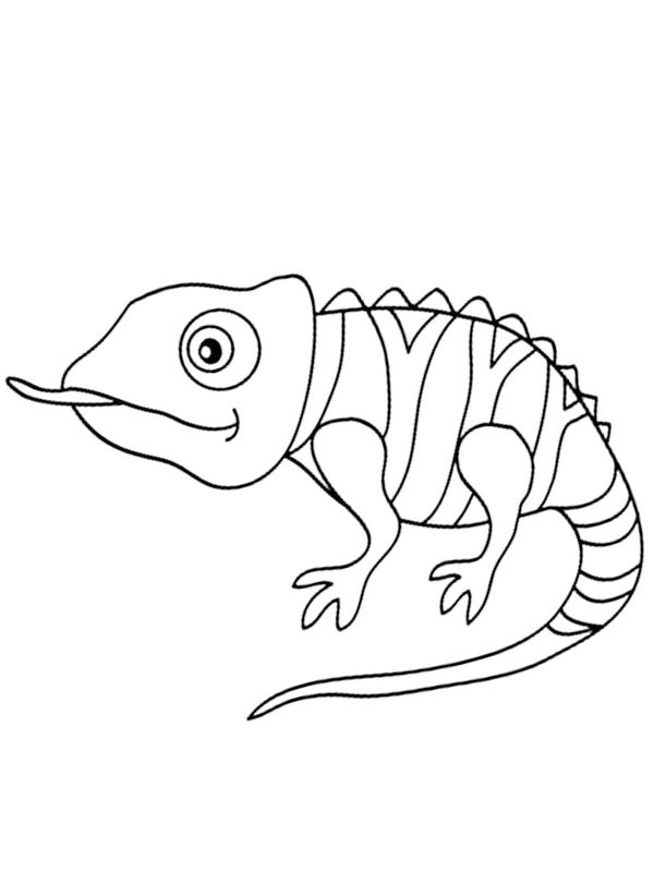 Kameleon stikker ut tunga Fargeleggingsside Kameleon stikker ut tunga Fargeleggingsside