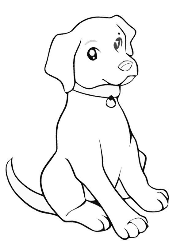 Labrador valp Fargeleggingsside Labrador valp Fargeleggingsside