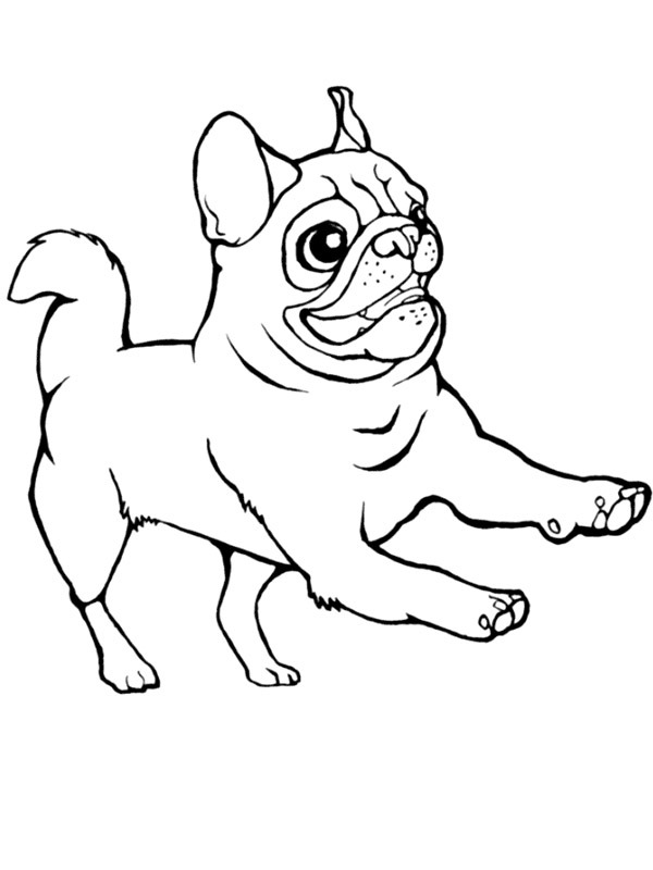 Mops Fargeleggingsside Mops Fargeleggingsside