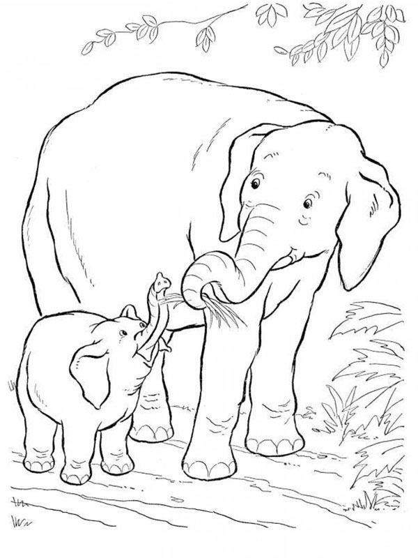 Elefant og babyelefant Fargeleggingsside Elefant og babyelefant Fargeleggingsside